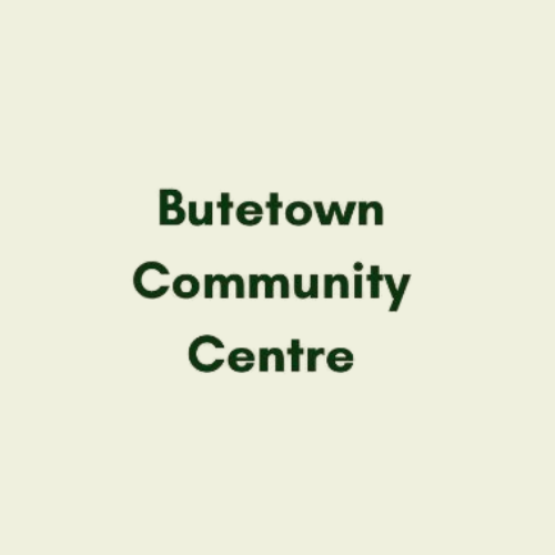 Ninian Park Primary School (2)