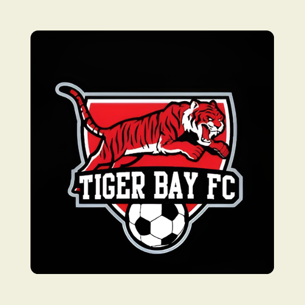 Untitled design - 2025-11-11T122025.402